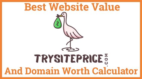 Best Website Value Calculator